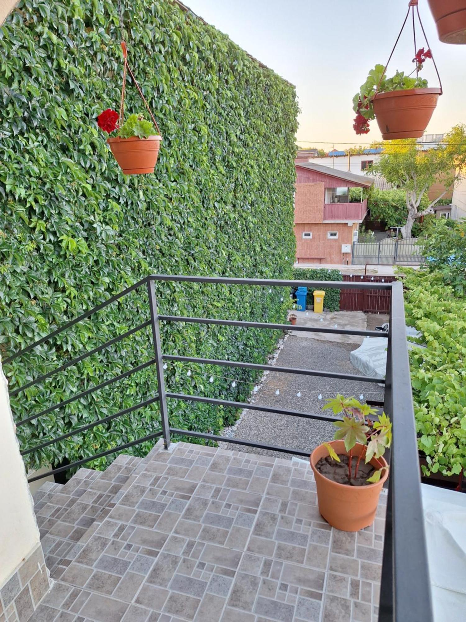 Casa Nicolas Costineşti Exterior foto