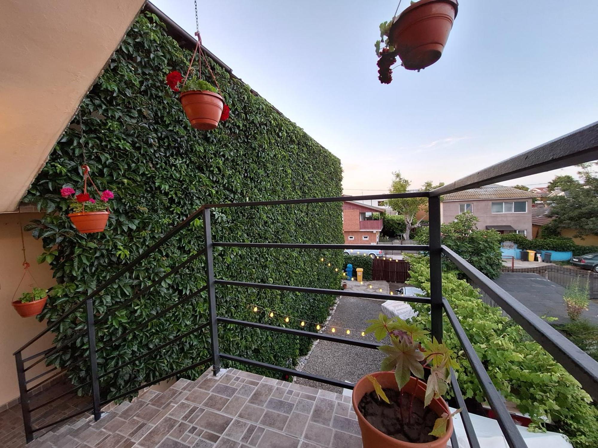 Casa Nicolas Costineşti Exterior foto
